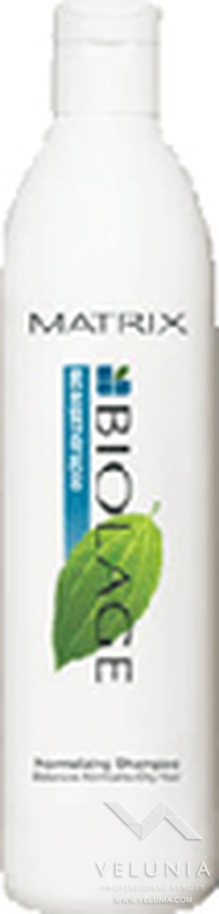 Biolage Normalizing Shampoo 500 ML 1