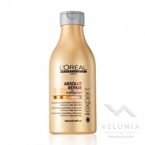 L'Oreal Expert Absolut 250ml 1