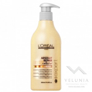 L'Oreal Expert Absolut 500ml