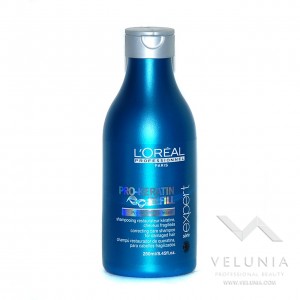 L'Oreal Expert Pro-Keratine Refill 250ml 1