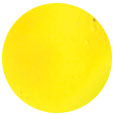 Magilack Sunny             1